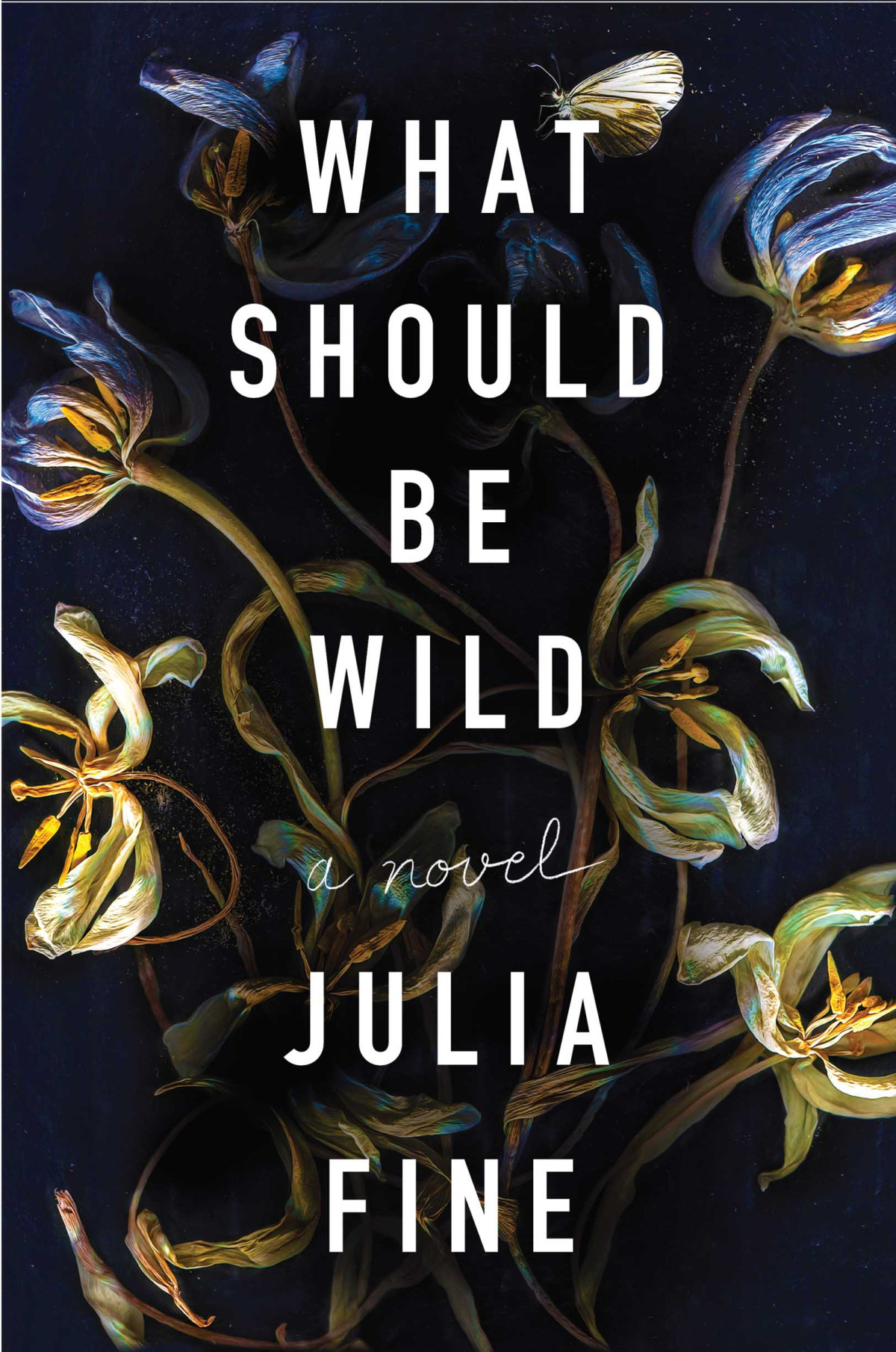 What Should Be Wild Julia Fine