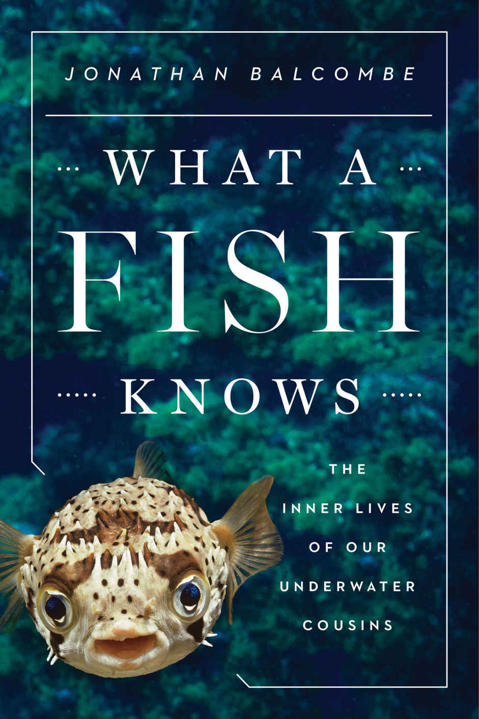What A Fish Knows The Inner Lives Of Our Underwater Cousins Jonathan Balcombe