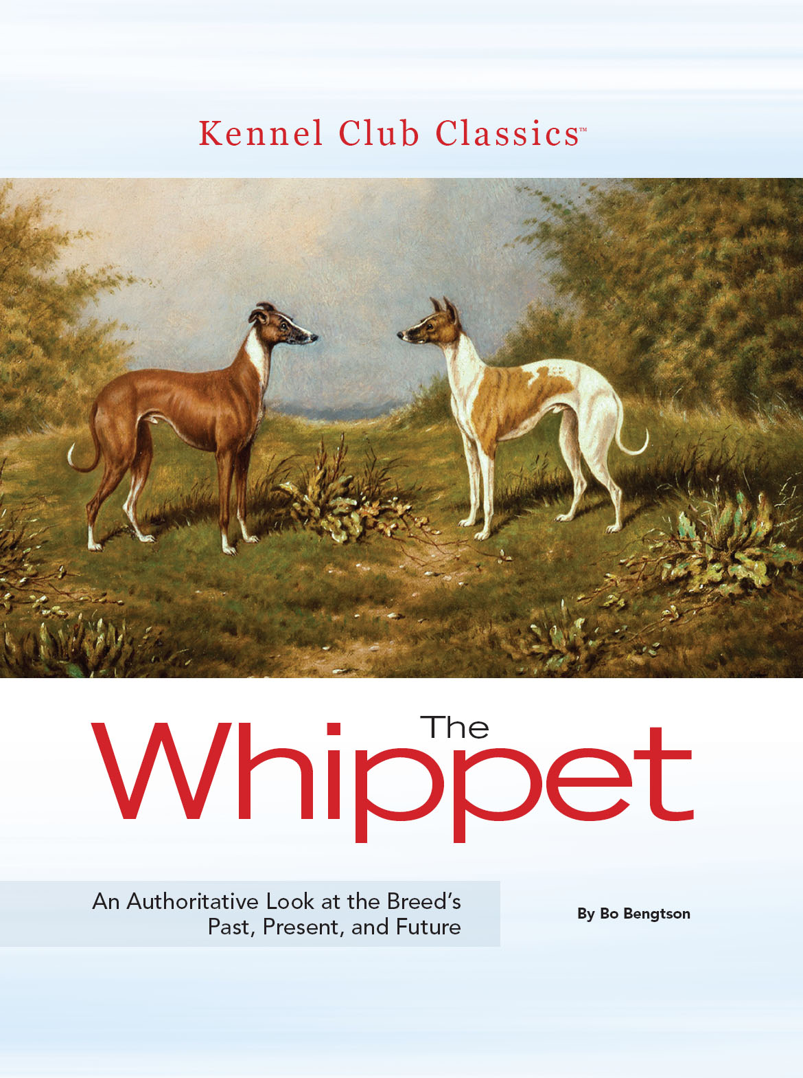 The Whippet Bo Bengtson