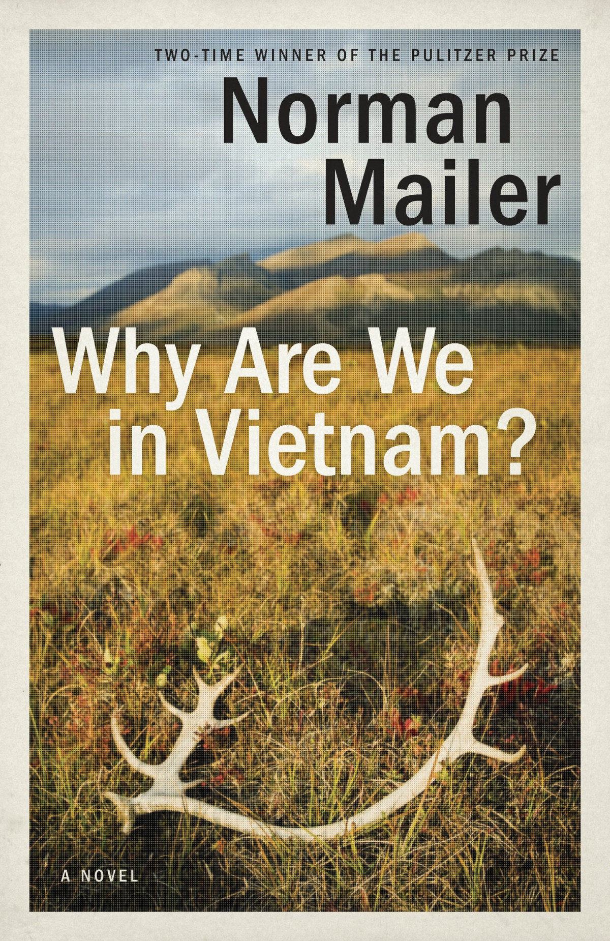 Why Are We In Vietnam Norman Mailer