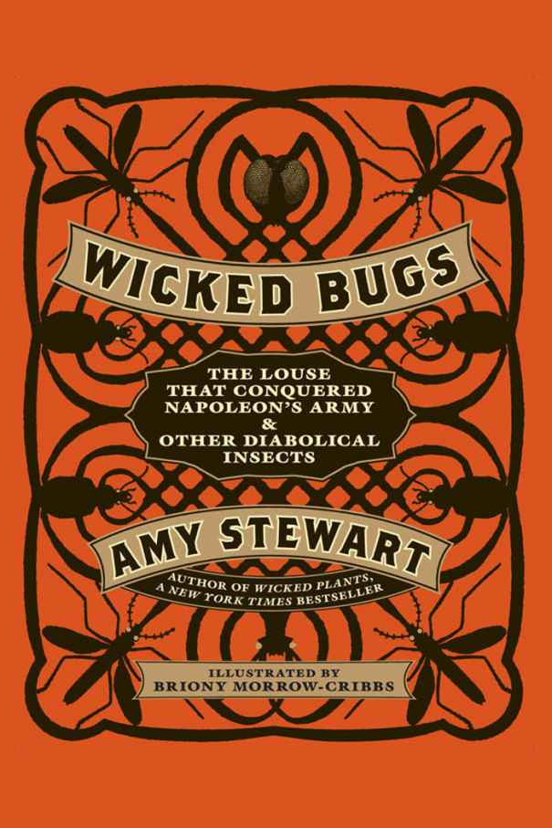 Wicked Bugs Amy Stewart