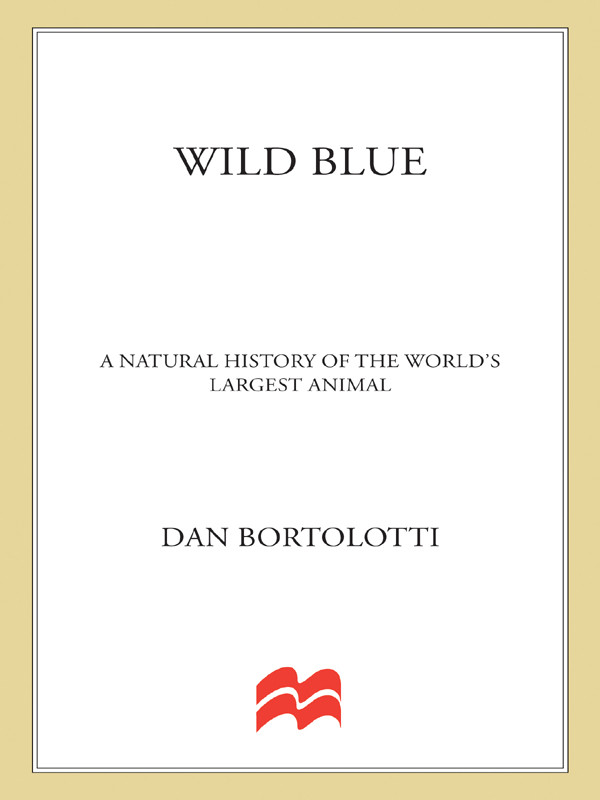 Wild Blue Dan Bortolotti