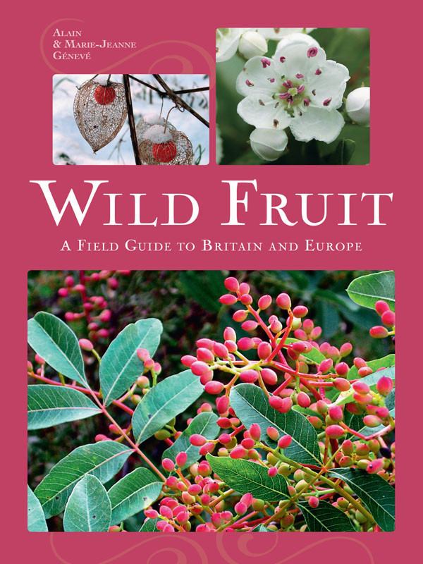 Wild Fruit Alain Geneve