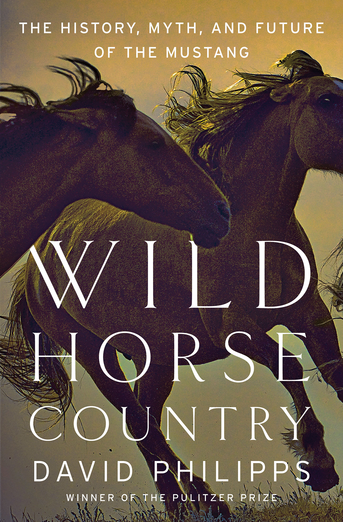 Wild Horse Country David Philipps
