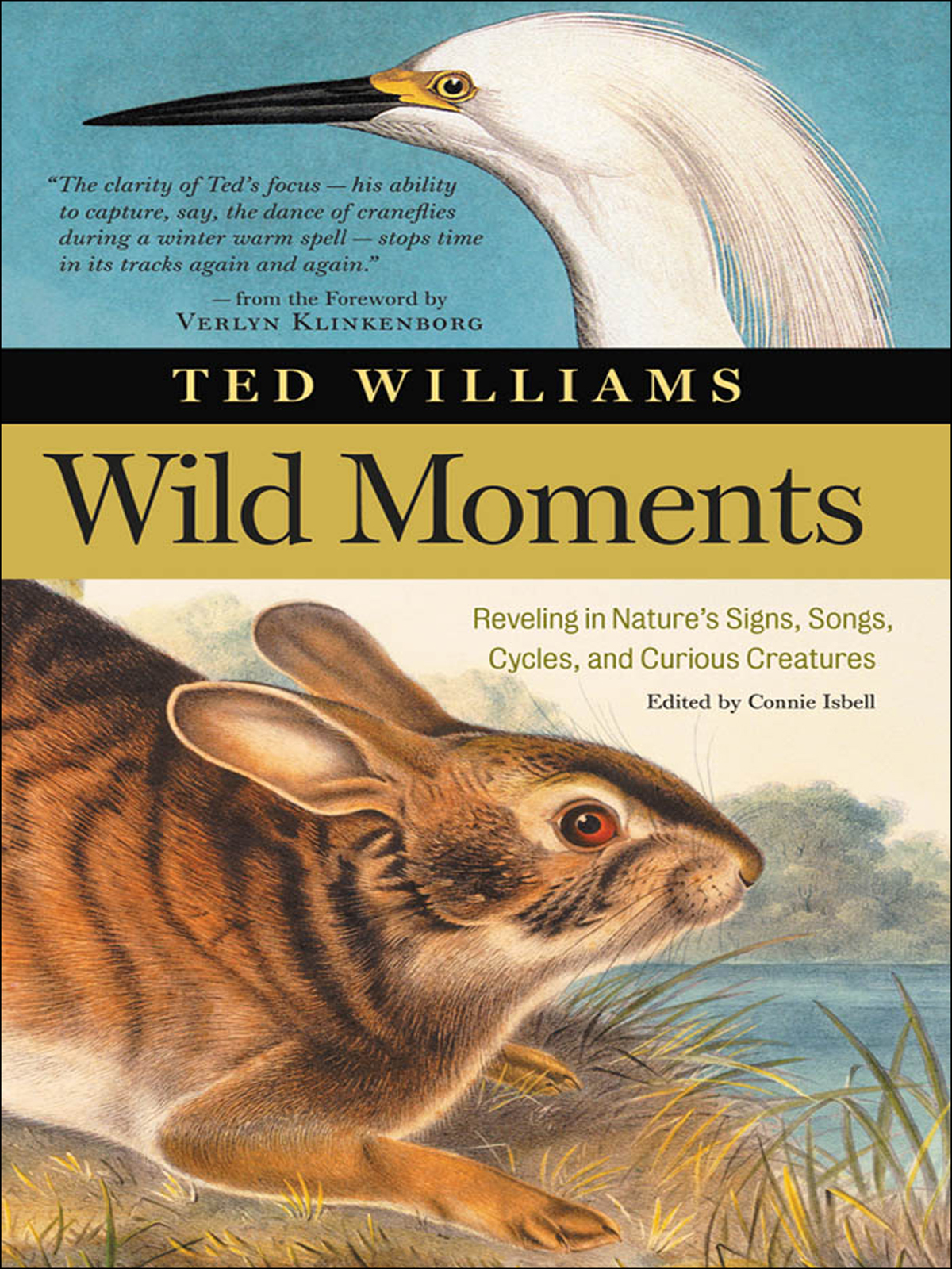 Wild Moments Ted Williams
