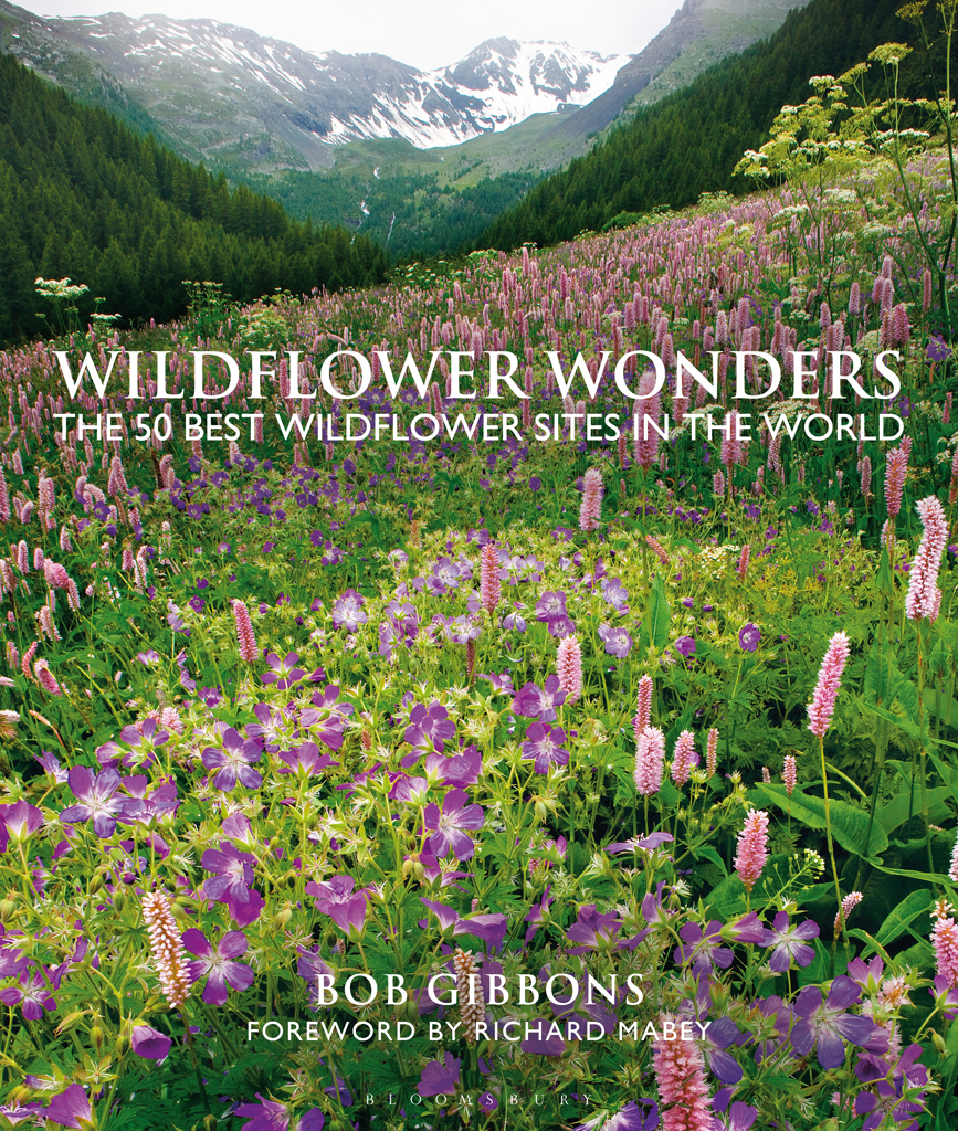 Wildflower Wonders The 50 Best Wildflower Sites In The World Bob Gibbons