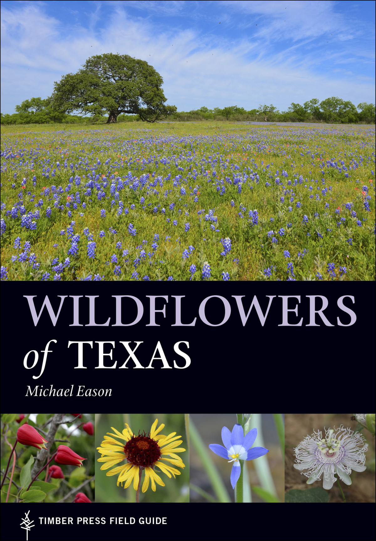 Wildflowers Of Texas Michael Eason