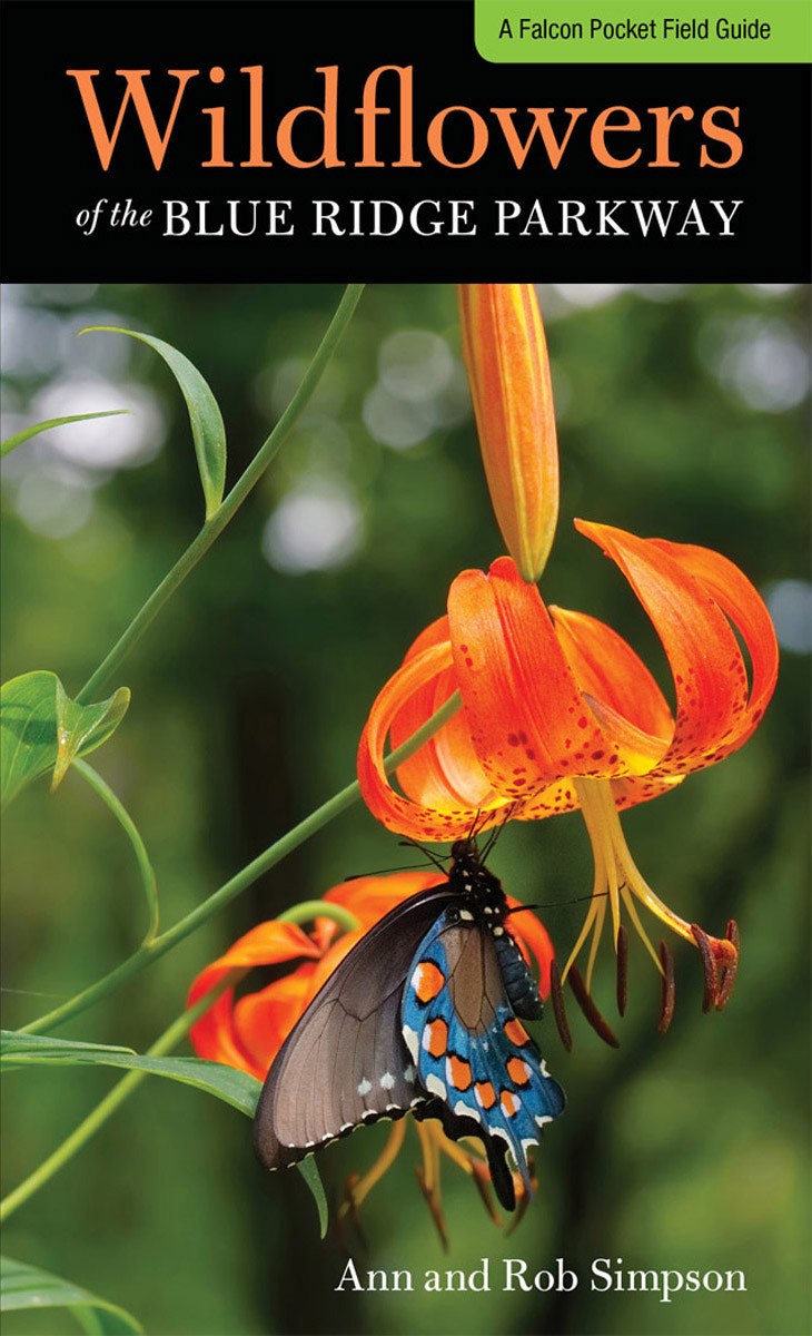 Wildflowers Of The Blue Ridge Parkway Ann Simpson Rob Simpson