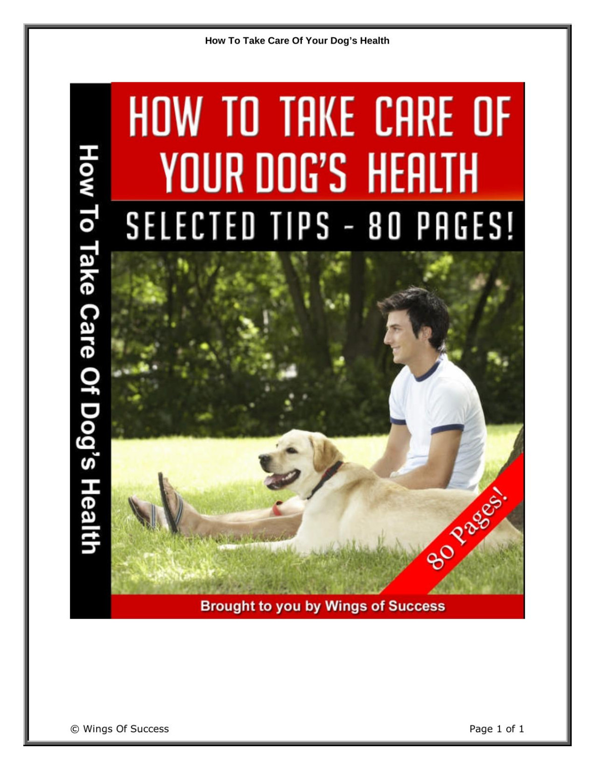 How To Take Care Of Your Dogs Health 1st Edition Abhi Malangate