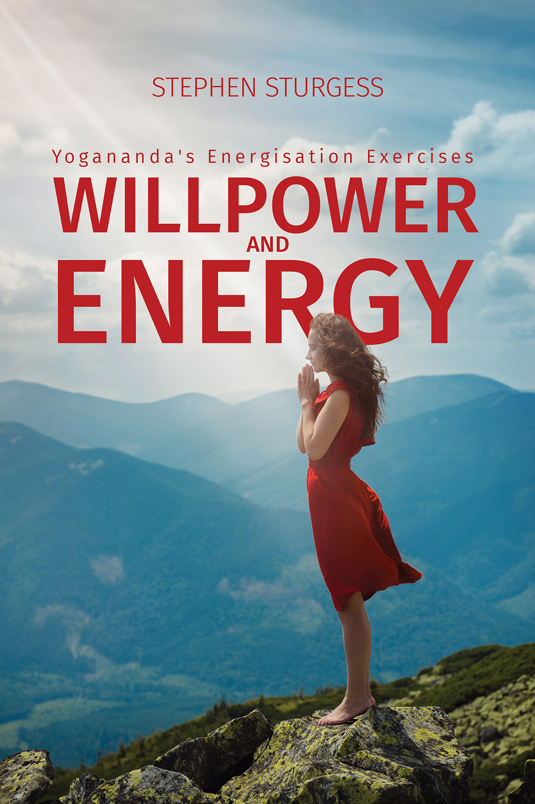Willpower And Energy Stephen Sturgess