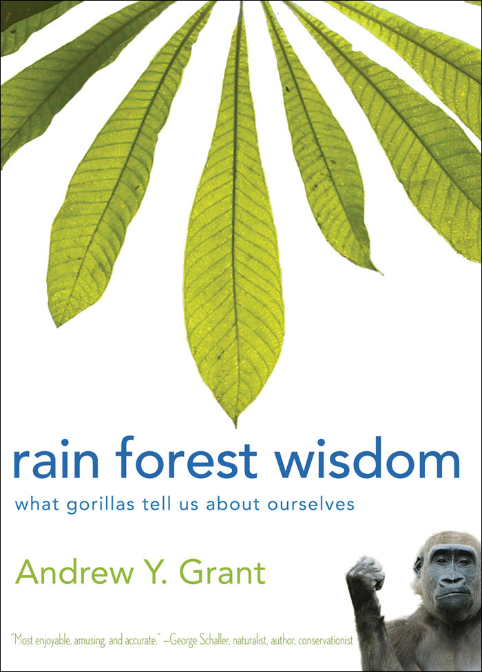 Rain Forest Wisdom Andrew Grant