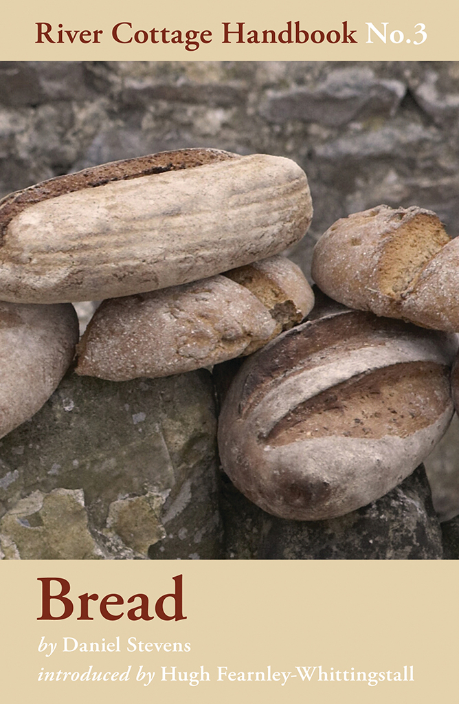 River Cottage Handbook 3 Bread Daniel Stevens