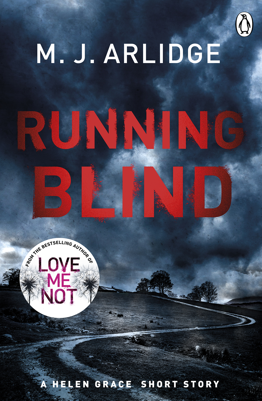 Running Blind M J Arlidge