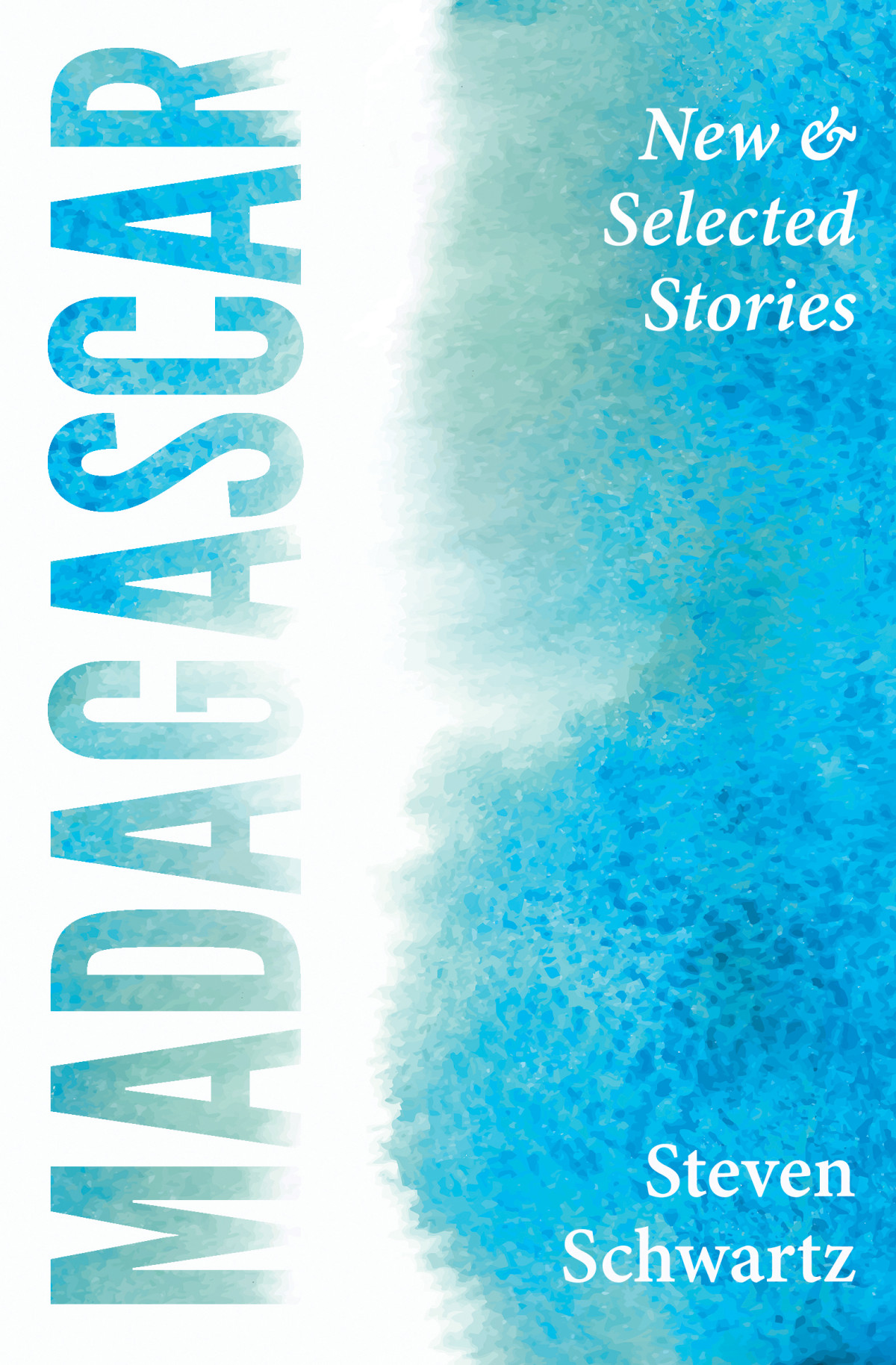 Madagascar Steven Schwartz