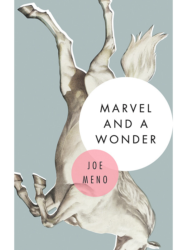 Marvel And A Wonder Joe Meno
