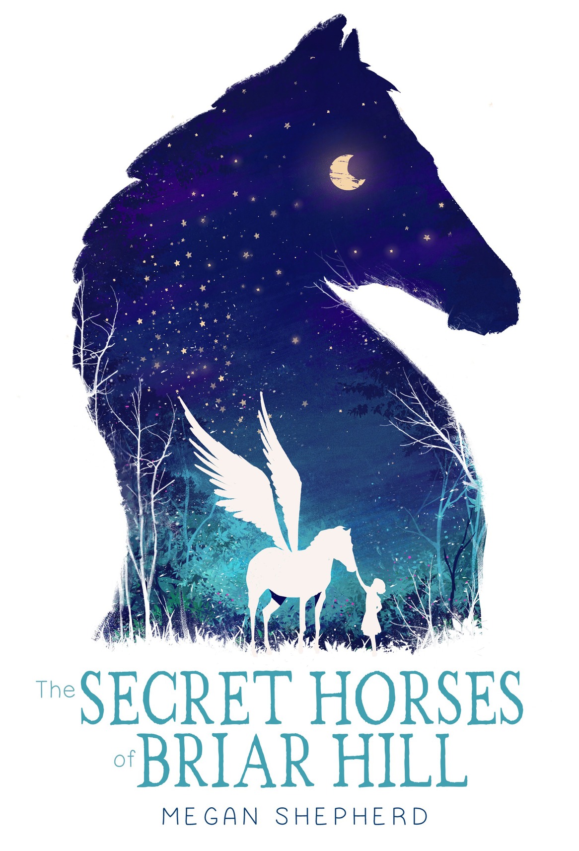 The Secret Horses Of Briar Hill Megan Shepherd