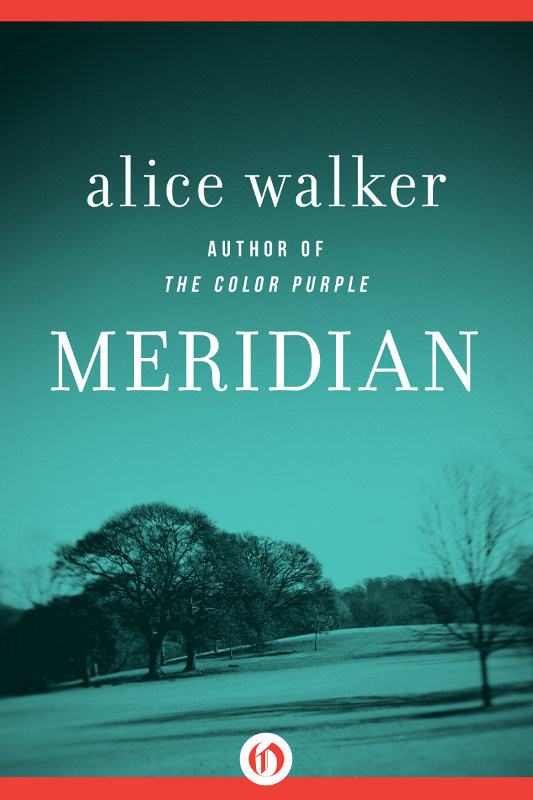 Meridian Alice Walker