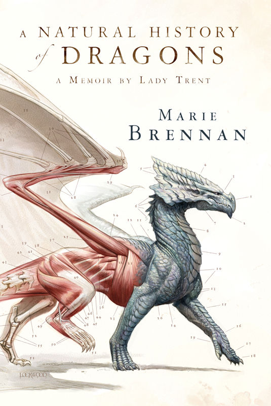 A Natural History Of Dragons A Memoir By Lady Trent Marie Brennan