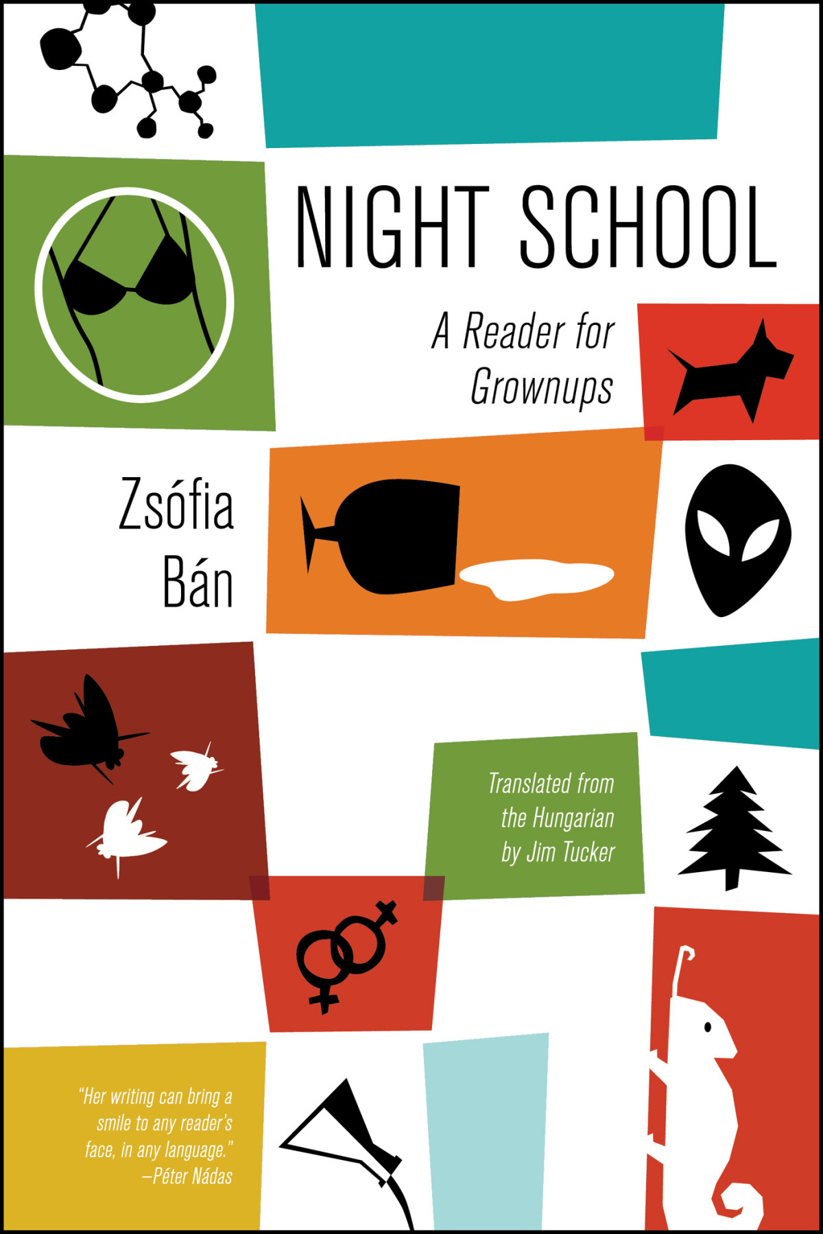Night School Zsfia Bn