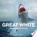 Great White The Majesty Of Sharks Chris Fallows