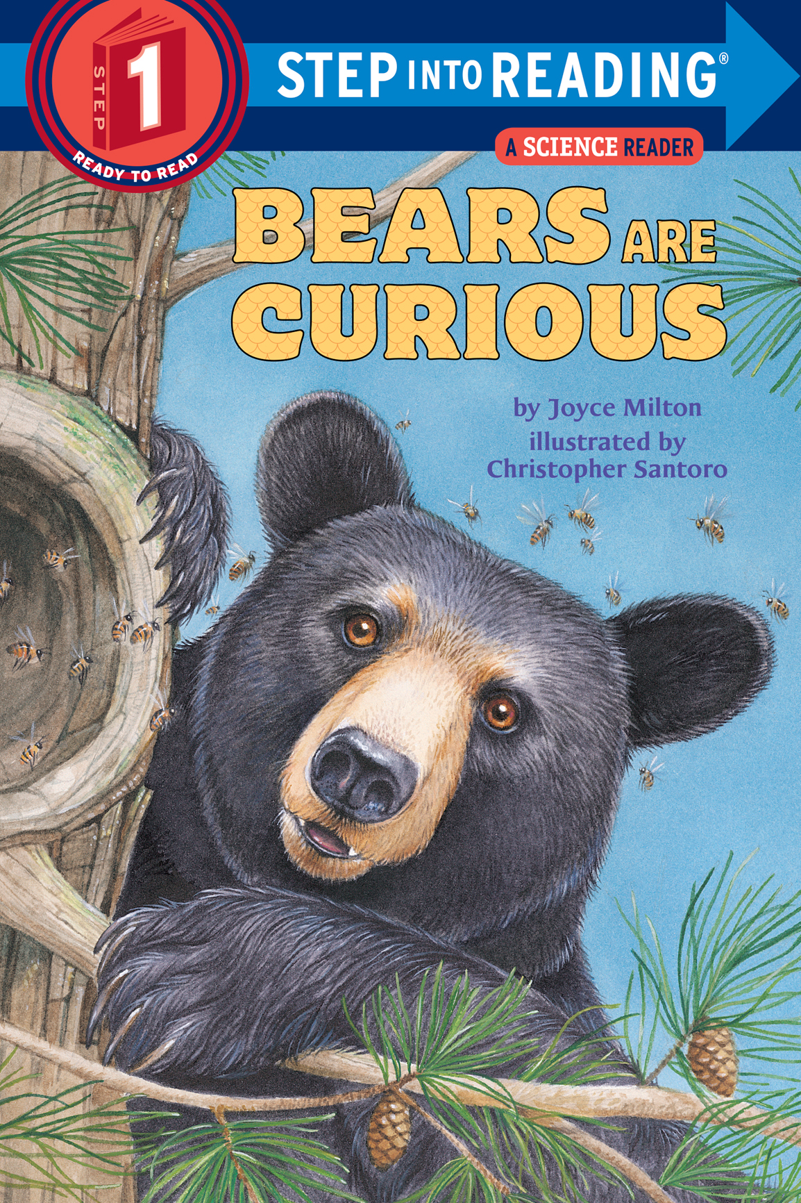 Bears Are Curious Joyce Milton