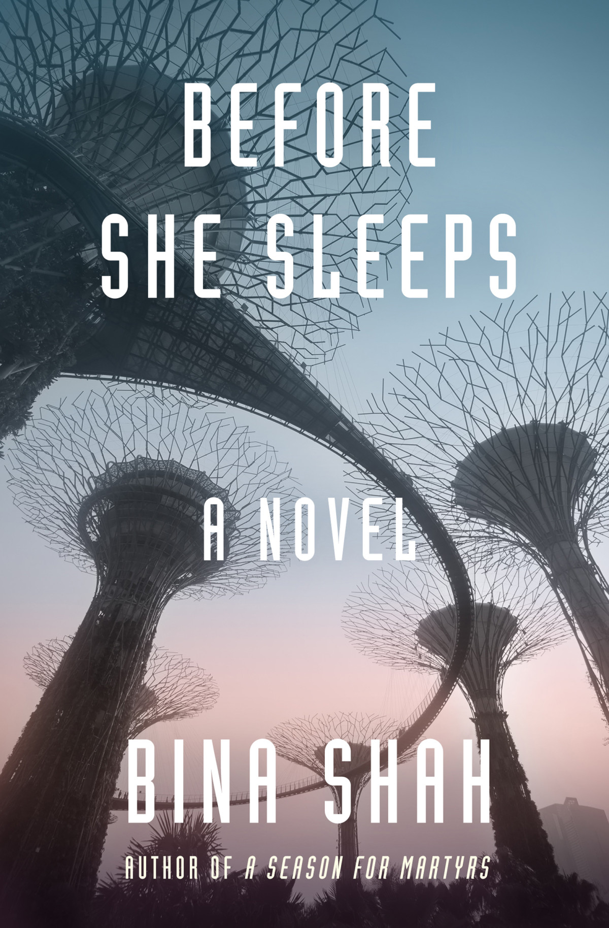 Before She Sleeps Bina Shah