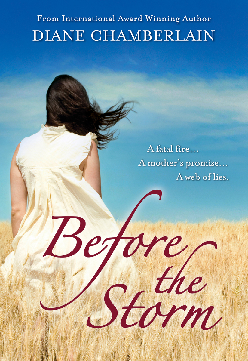 Before The Storm Diane Chamberlain