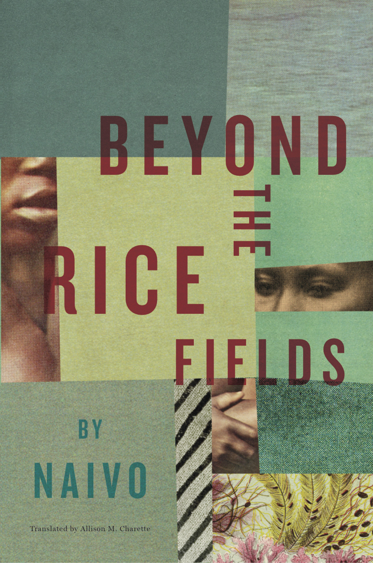 Beyond The Rice Fields Naivo