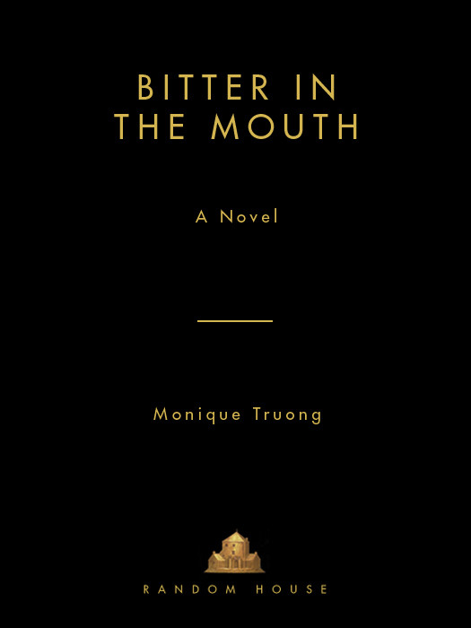 Bitter In The Mouth Monique Truong