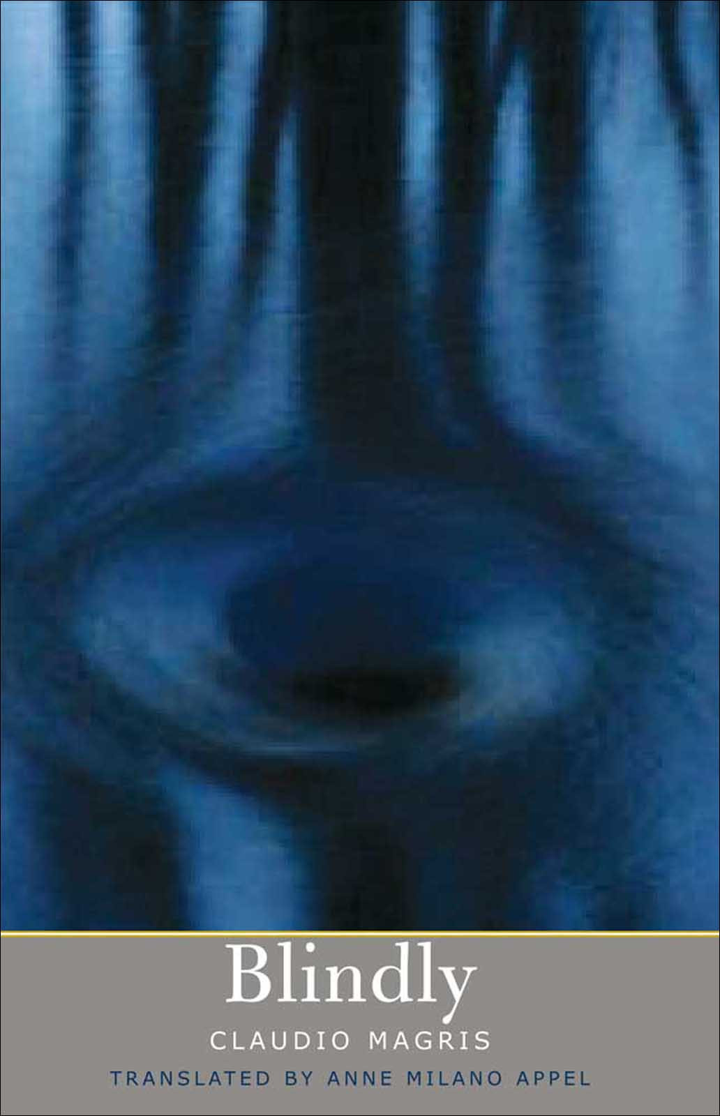 Blindly Claudio Magris