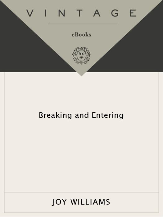 Breaking And Entering Joy Williams