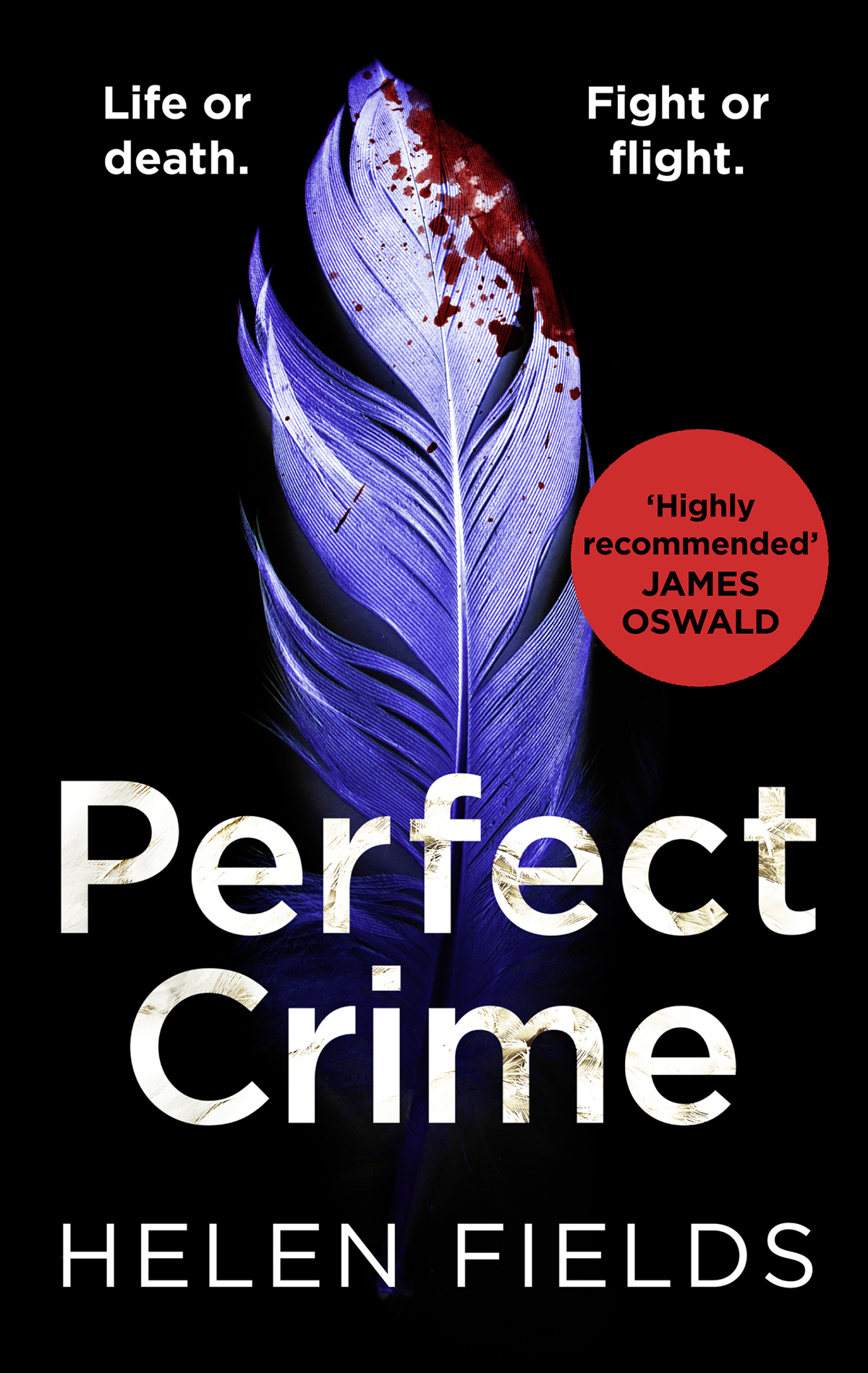 Perfect Crime Helen Fields