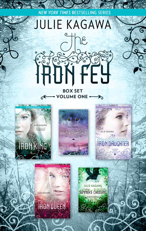 The Iron Fey Series Volume 1the Iron Kingwinters Passagethe Iron Daughterthe Iron Queensummers Crossing Julie Kagawa