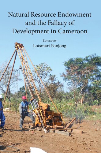 Natural Resource Endowment And The Fallacy Of Development In Cameroon Lotsmart Fonjong Editor