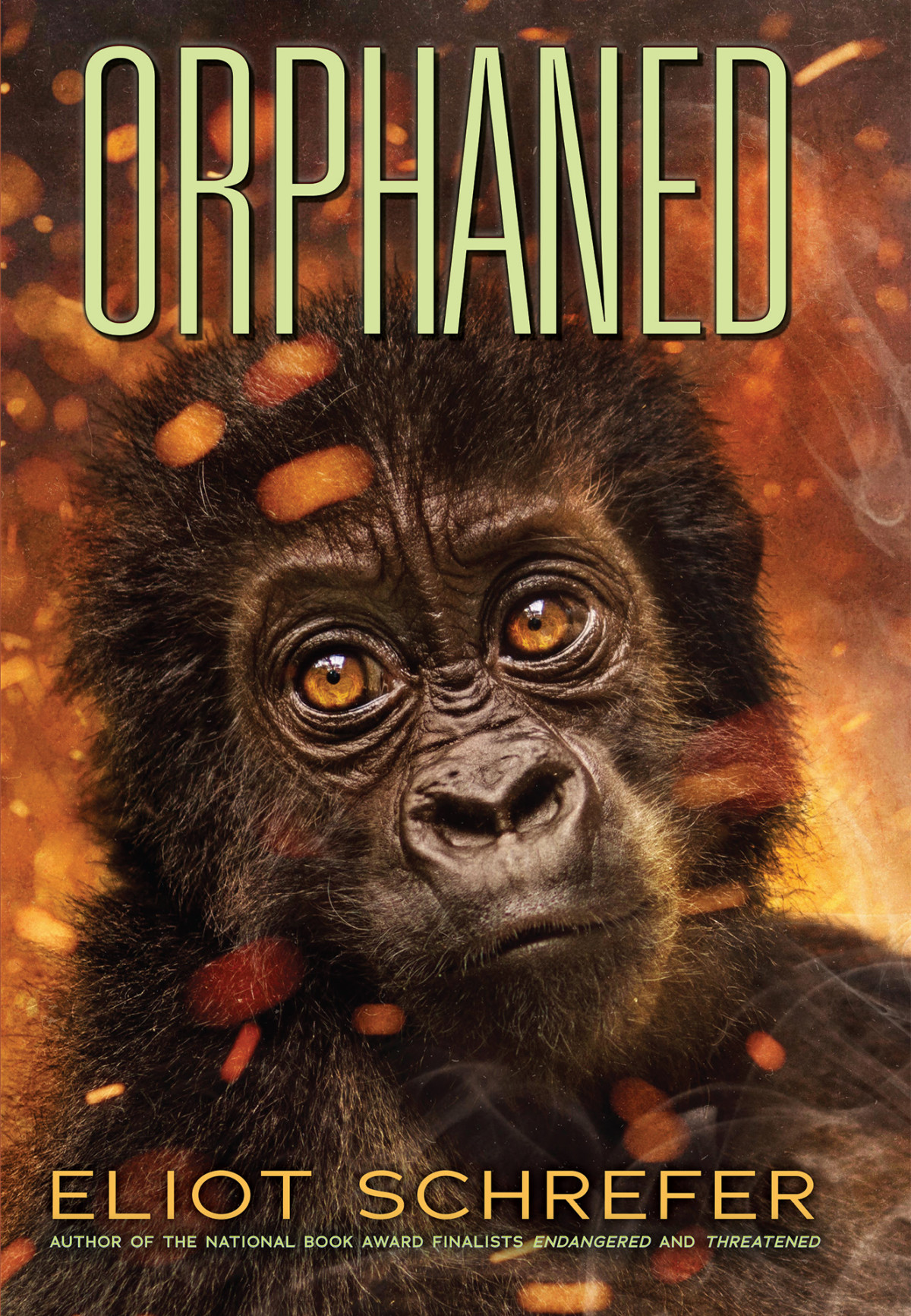 Orphaned Eliot Schrefer