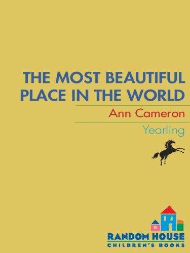 The Most Beautiful Place In The World Ann Cameron