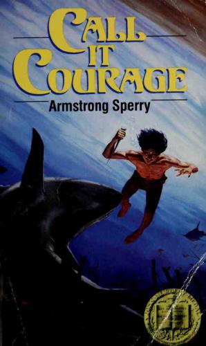 Call It Courage Sperry Armstrong