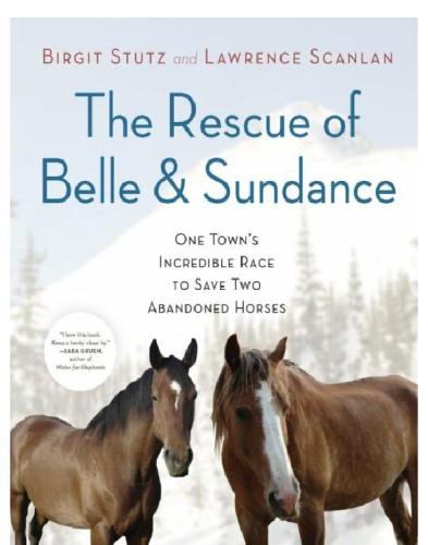 The Rescue Of Belle And Sundance One Towns Incredible Race To Save Two Abandoned Horses Stutz Birgit Scanlan Lawrence