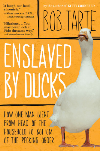 Enslaved By Ducks Tarte Bob