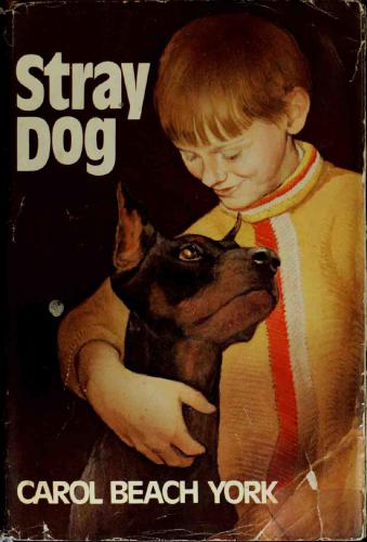 Stray Dog York Carol Beach