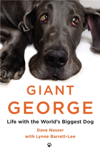 Giant George Life With The Worlds Biggest Dog Nasser Dave