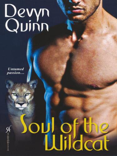 Soul Of The Wildcat Quinn Devyn
