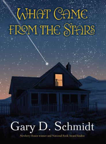 What Came From The Stars Schmidt Gary D