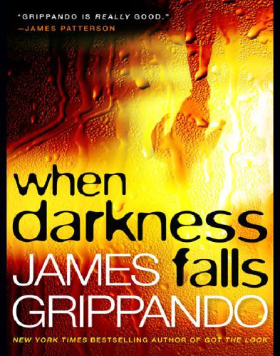 When Darkness Falls Grippando James