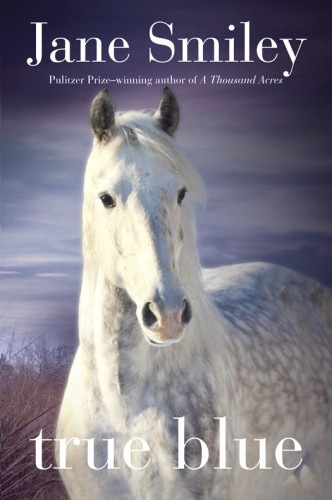 True Blue Mystery Horse Smiley Jane