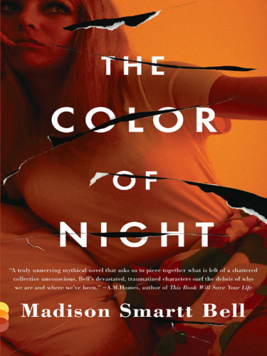 The Color Of Night Bell Madison Smartt