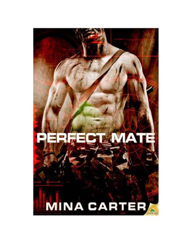Perfect Mate Carter Mina