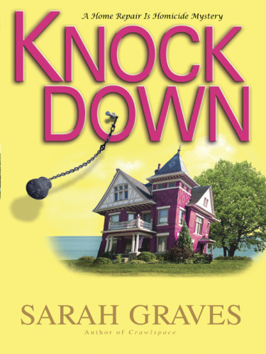 Knockdown Home Repair Is Homicide Mystery 14 Sarah Graves