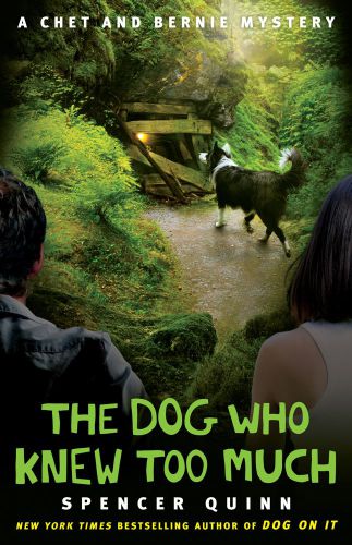 The Dog Who Knew Too Much Quinn Spencer
