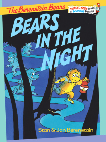 Bears In The Night Berenstain Stan
